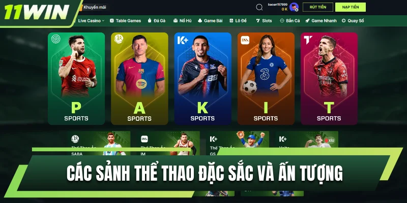 Các sảnh thể thao đặc sắc và ấn tượng tại nhà cái